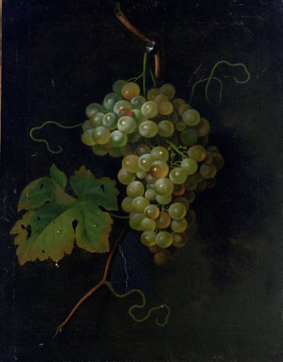 Grapes by Tobias Stranover